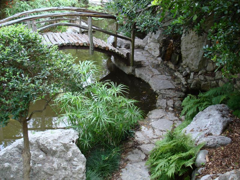 SUPPORTING THE MENTAL CHALLENGED